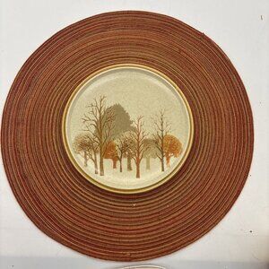 Vintage Mikasa Stylekraft Walnut Grove C0905 7.5” Salad Plate Rare Mint